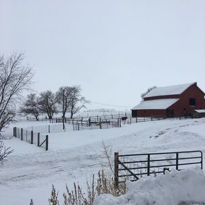 Meet your Posher, Shana